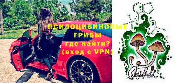 СК Верхний Тагил